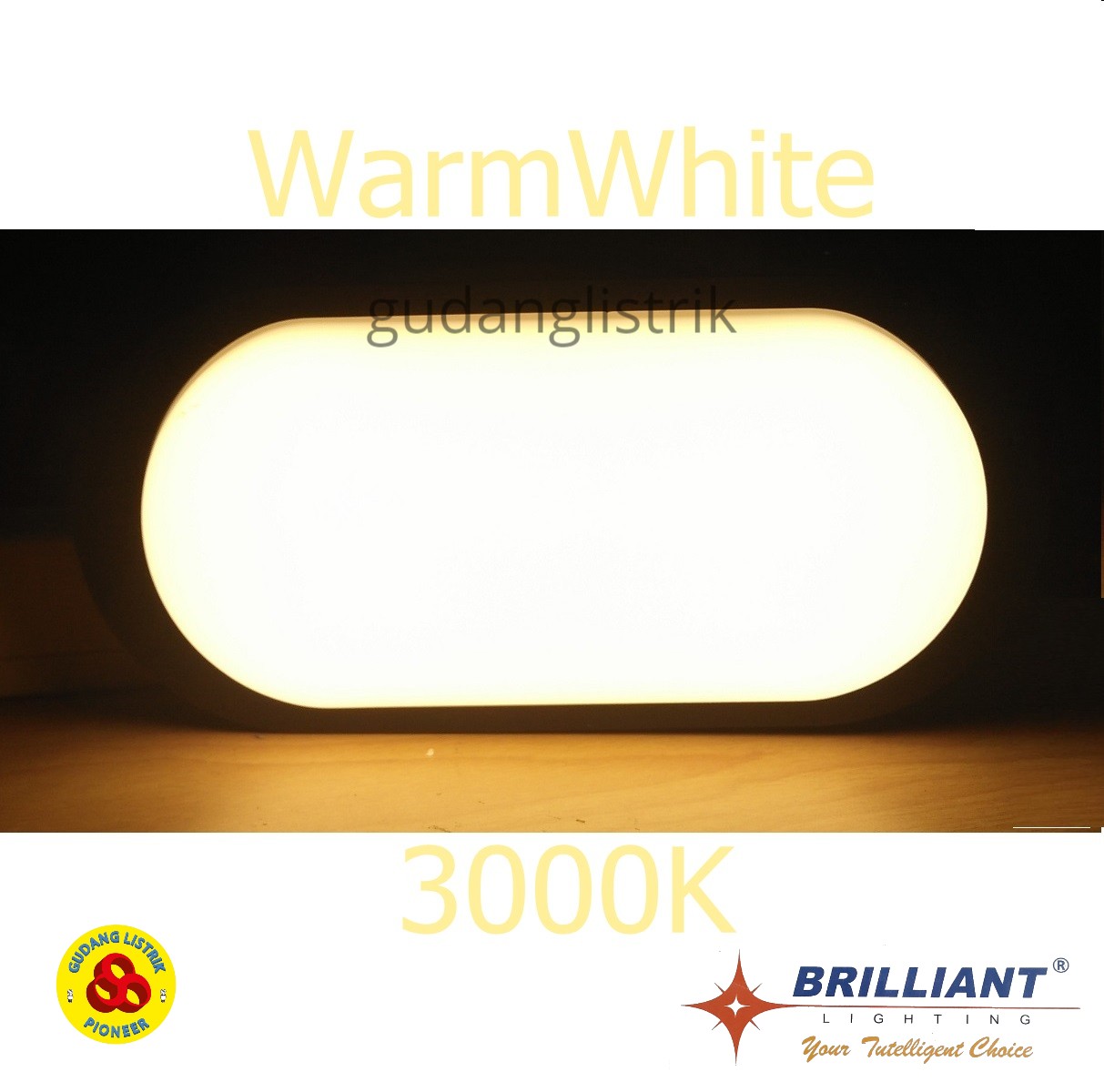 Lampu Kapal LED Ball Ice 10W WW 6500K W1708 Black Brilliant